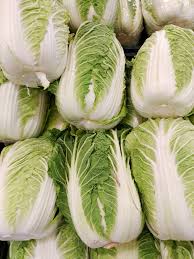 Napa Cabbage (Chinese Cabbage)
