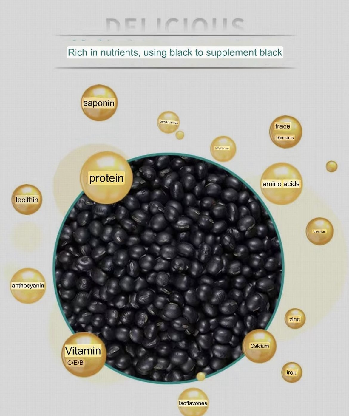 Black Bean
